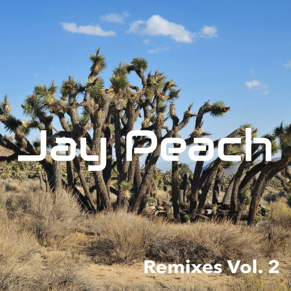 Peace - Tech House Ableton Template (CHASEWEST Soft Chill Style)