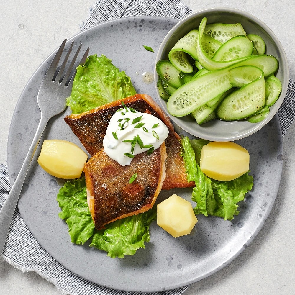 Fjällröding med yoghurt och citrongurka