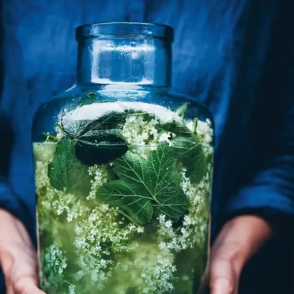 Flädersaft utan citronsyra