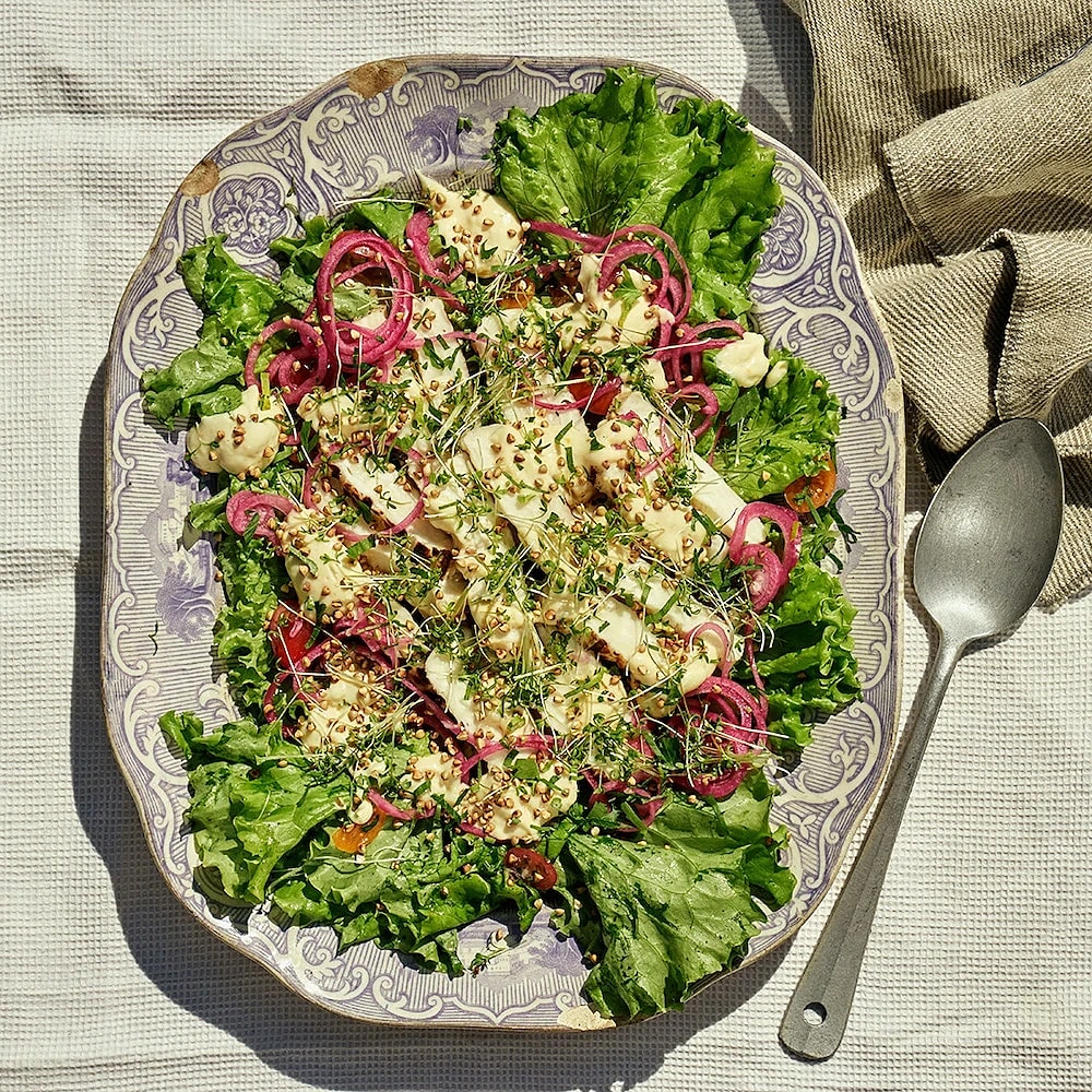 Halloumisallad med citronmajo och krispigt bovete