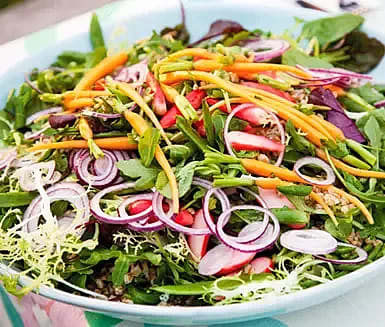 Matvetesallad med primörpickles