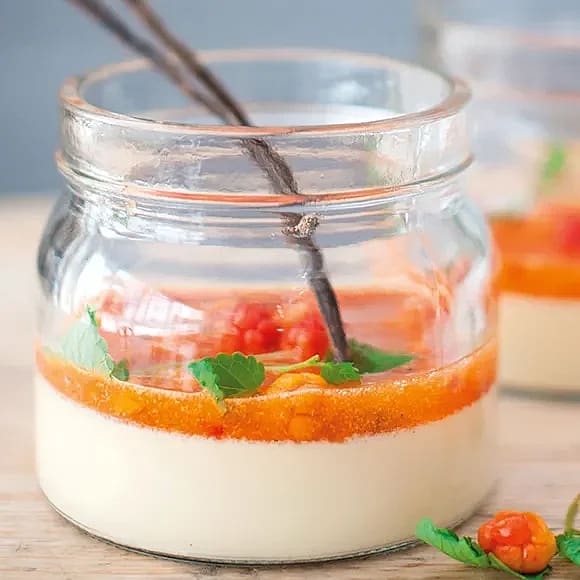 Pannacotta med tequila och hjortron
