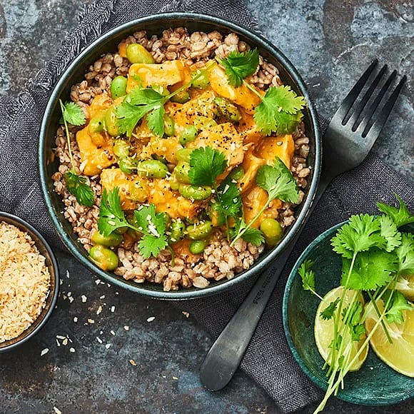 Vego filebitar i tomat, mango och kokos